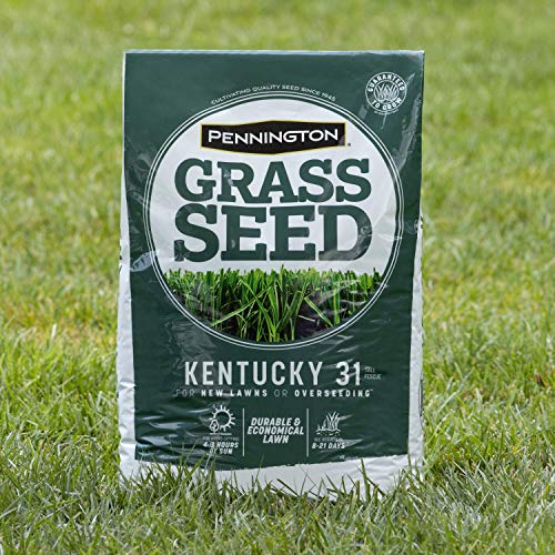 Pennington Kentucky 31 Tall Fescue Grass Seed 20 lb & UltraGreen Starter Lawn Fertilizer 14 lb C168018