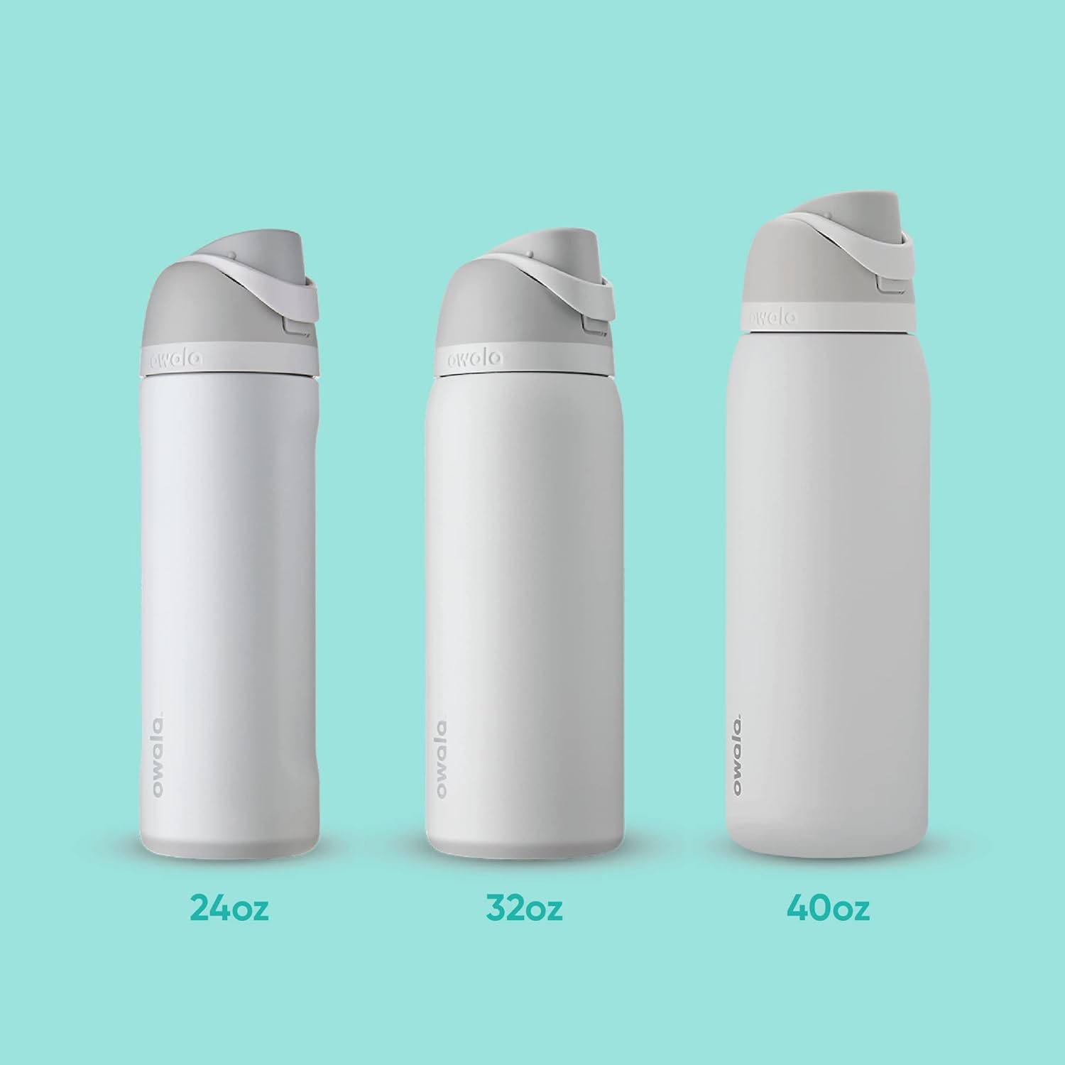 Owala FreeSip Insulated Stainless Steel Water Bottle with Straw, 24 oz, BPA-Free G194378