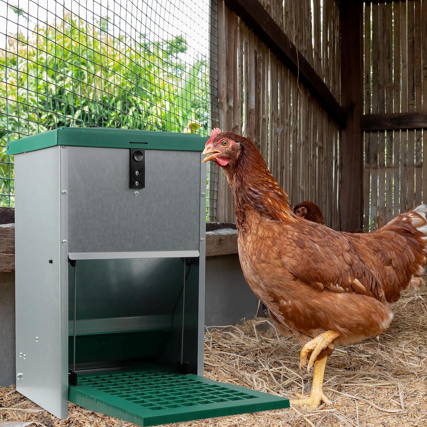 Chicken Treadle Feeder - 17.6 lb Capacity, Automatic Pressure Lever System H859