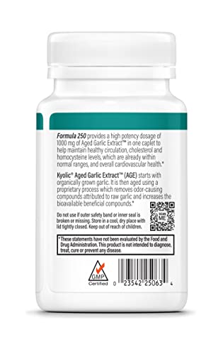 Kyolic Aged Garlic Extract Formula 250, 60 Vegan Capsules T207819