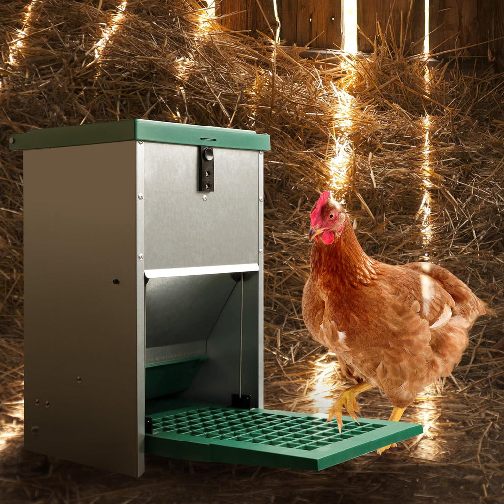 Chicken Treadle Feeder - 17.6 lb Capacity, Automatic Pressure Lever System H859