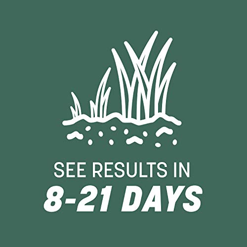 Pennington Kentucky 31 Tall Fescue Grass Seed 20 lb & UltraGreen Starter Lawn Fertilizer 14 lb C168018