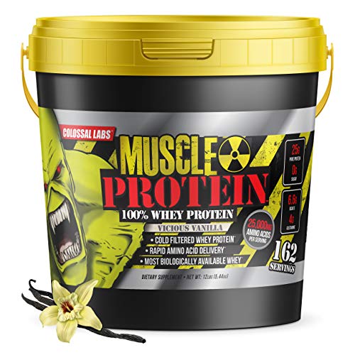Muscle Protein Whey Powder [12 lbs/Pack of 1]–Chocolate Protein Powder, Cold Filtered, 25g Pure Protein, 6.6g BCAAs (Packaging May Vary)