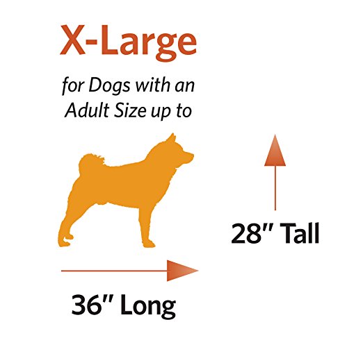 MidWest Homes for Pets XL Dog Crate Folding Metal with Divider Panel, 48L x 30W x 33H X9991