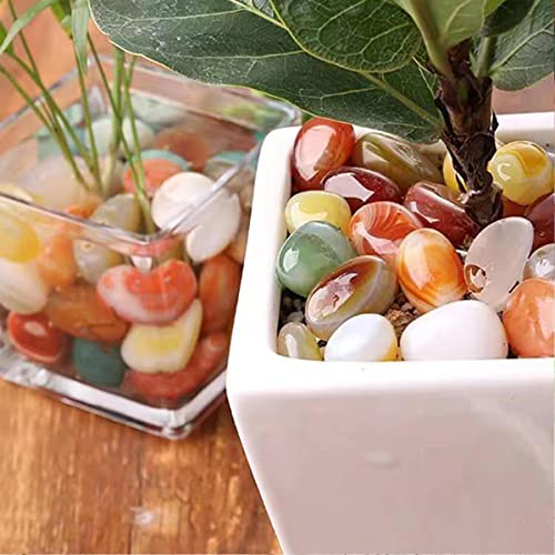 100 Pcs Mixed Agate Stone Tumbled Polished Stones Crystal Set G9343
