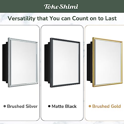 TokeShimi Recessed Medicine Cabinet with Mirror, Wall Mounted, Silver 16x24 J35200