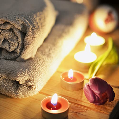 Brown Tealights Candles 12 Pack Scented Cinnamon R94216