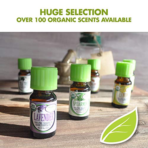 Frankincense Essential Oil Organic Undiluted 10ml by Healing Solutions D69228