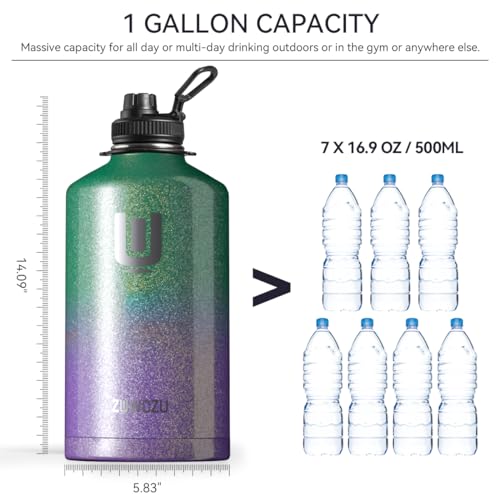 1 Gallon Insulated Stainless Steel Water Bottle with Straw, 128oz, Black S8659